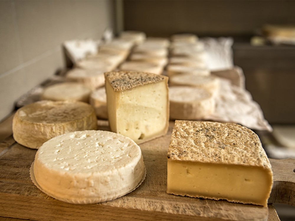 Sample fine Italian cheeses such as Gorgonzola, sheep milk ricotta and robiola di roccaverano.