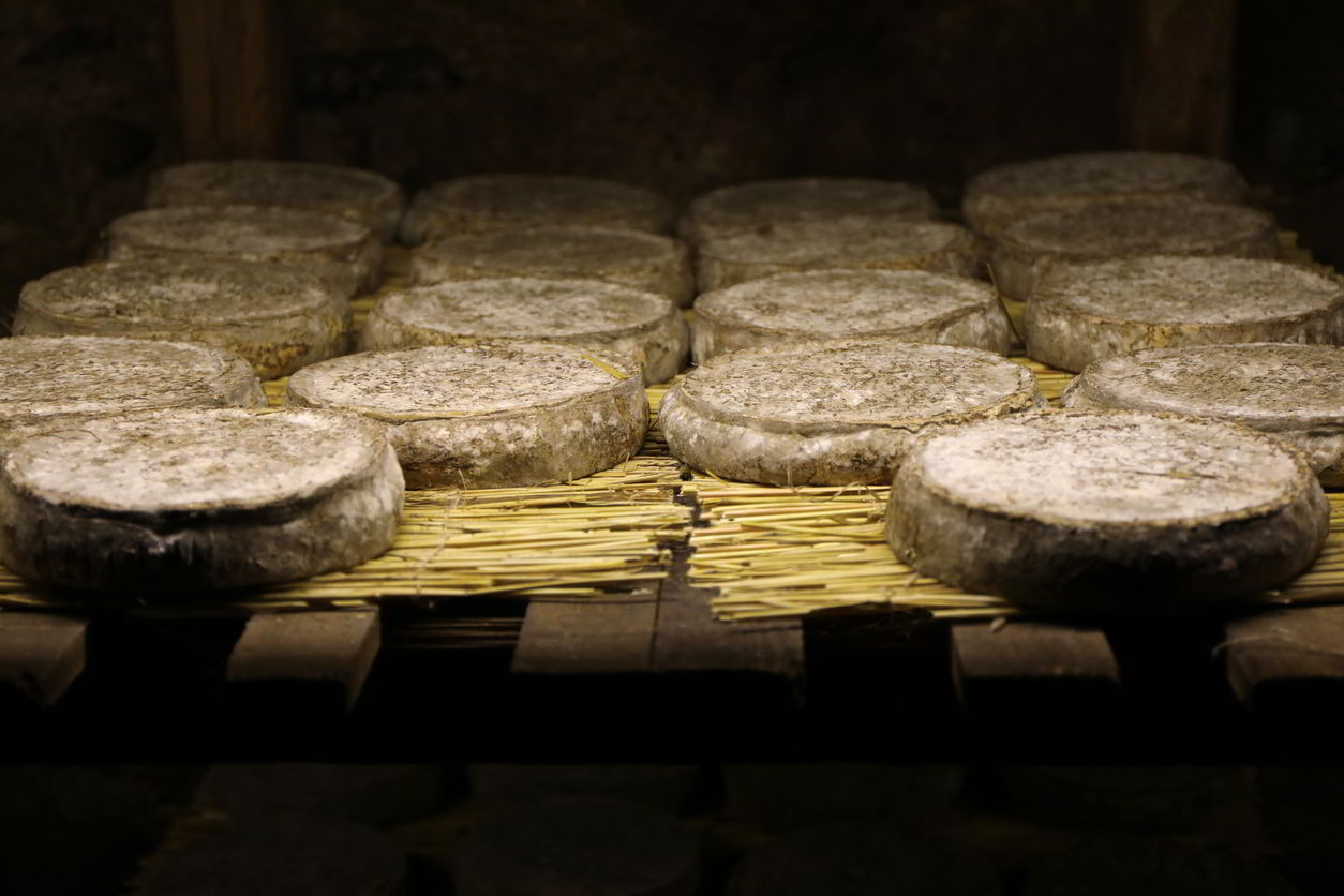 Maduración del queso Monferrato en cuevas del Piemonte