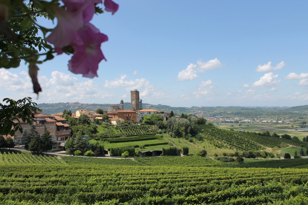 rabaya colline barbaresco