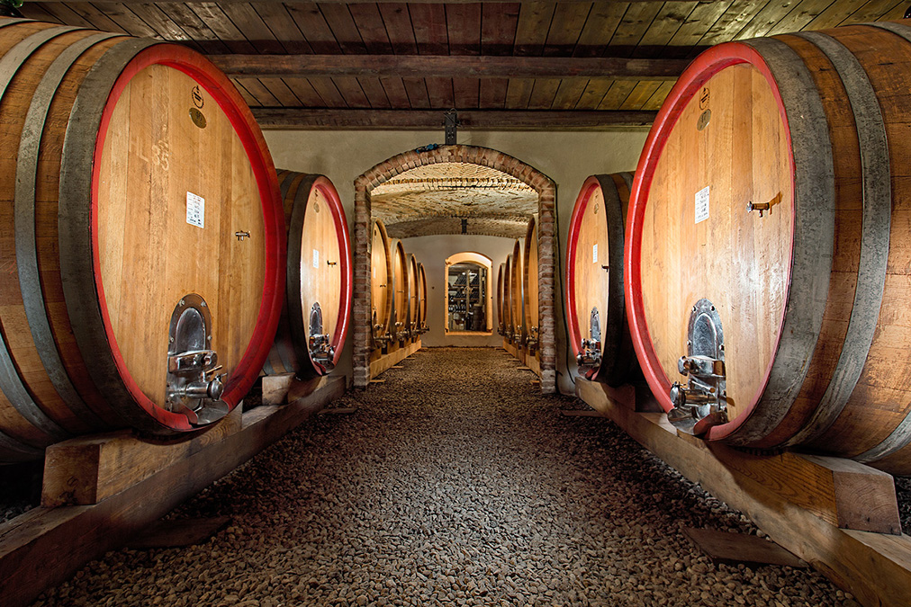 wine casks in gagliardo cellar